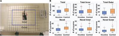 A Neural Network Reveals Motoric Effects of Maternal Preconception Exposure to Nicotine on Rat Pup Behavior: A New Approach for Movement Disorders Diagnosis